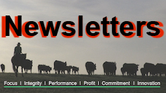 Newsletters